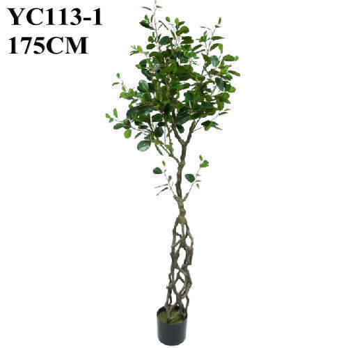 Artificial Ficus Tree 175 CM Sharetrade