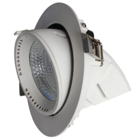 Gimbal LED Downlight Elephant Trunk Downlight