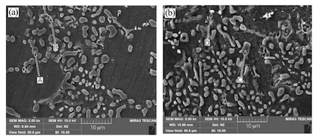 SEM photos of ADC12 aluminum alloy after different heat treatments