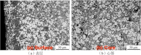 Microstructure of Die-Cast Aluminum Alloy ZL102