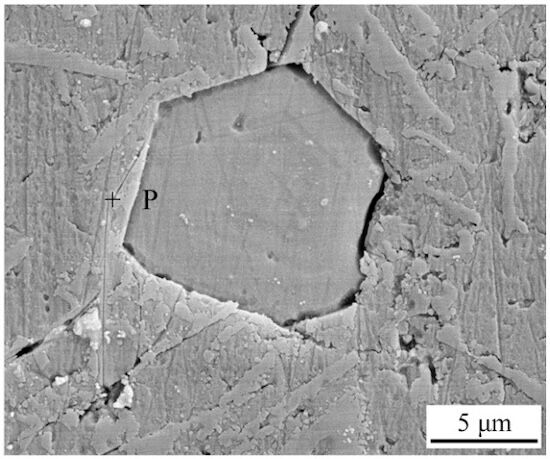 SEM image of polygonal phase