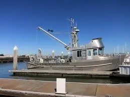 The Future Development Trend of Aluminum Alloy Hulls