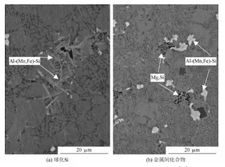 SEM images of heat-treated AISi10MnMg alloy