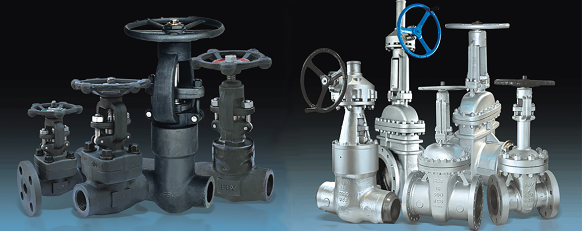 Forged Steel Gate Valve Manufaturer