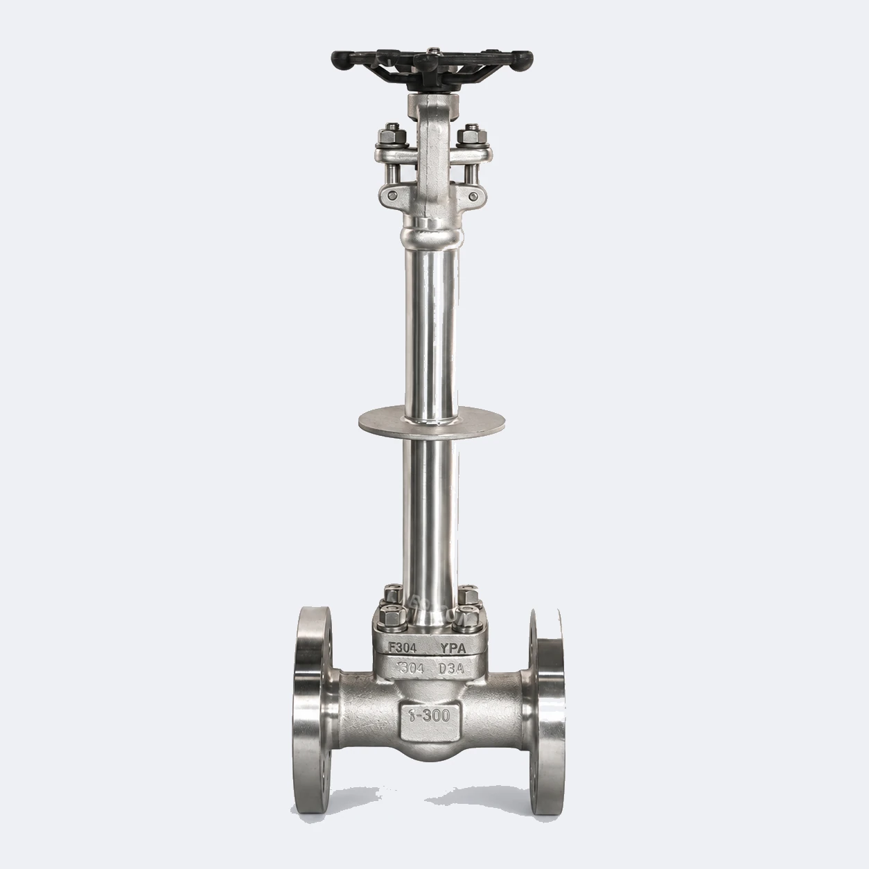 Cryogenic stainless steel gate valve with a long extended bonnet on insulated pipe; frost on the lower body, packing gland dry.