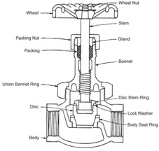 Globe valve with plug disc
