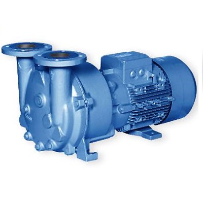 Single Stage Vacuum Pump | Single Stage Liquid Ring Vacuum Pump