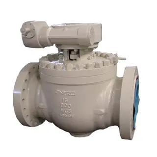 Top Entry Ball Valve, Class 300LB, Full / Reduced Bore