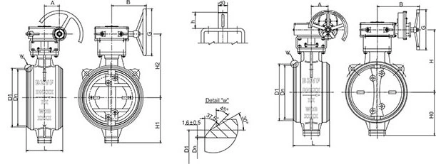 Butt-welded Triple Offset Butterfly Valve Structure Drawing