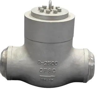 Pressure Seal Check Valve, Class 2500LB, Cast Steel, BW RF RTJ End
