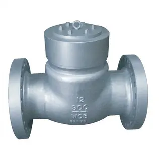 Pressure Seal Check Valve, Class 900LB, Cast Steel, BW RF RTJ End