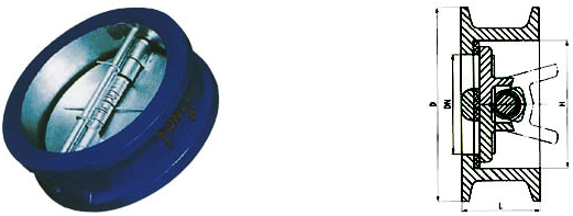 Dual Plate Check Valve Structure