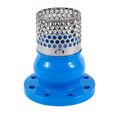 Foot Valve with Stainless Steel Mesh, PN16, Ductile Iron