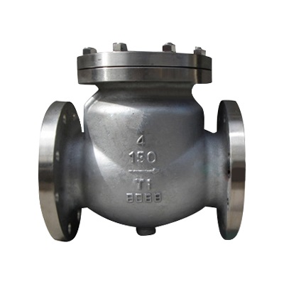 Titanium Ti Swing Check Valve, Class 150 LB, 4 Inch