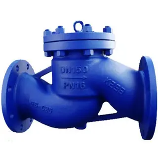 DIN Lift Check Valve, Cast iron, Ductile iron, WCB