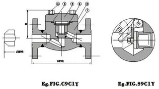 API 602 Forged Swing/Lift Flanged Check Valve, 1/2-2 Inch