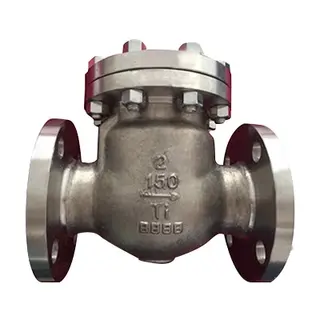 Titanium Ti Swing Check Valve, Class 150 LB, 2 Inch