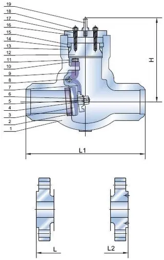 Flanged Pressure Seal Check Valve Structure 