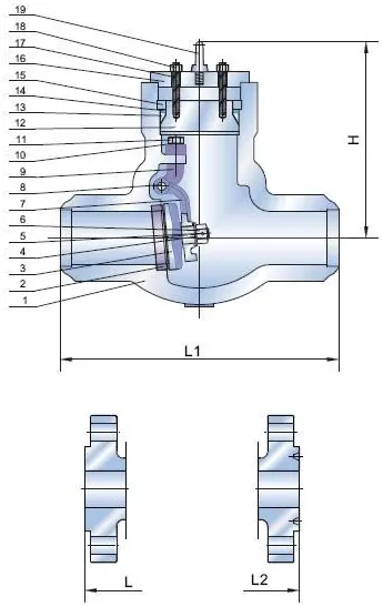 Flanged Pressure Seal Check Valve Structure 