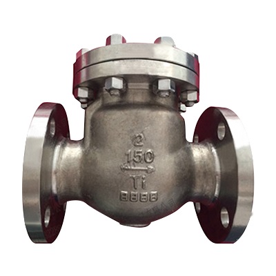 Titanium Ti Swing Check Valve, Class 150 LB, 2 Inch