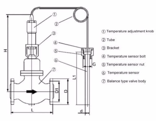 ZZWP Self-operated thermostatic temperature regulating control valve drawing