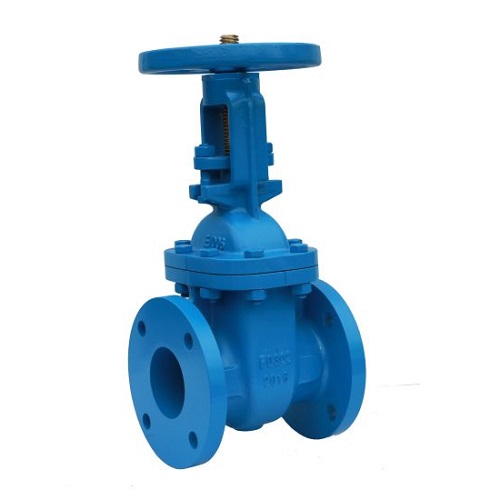 Cast Iron Rising Stem Gate Valve, Class 125/150 LB