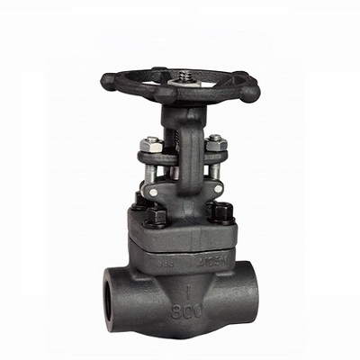Forged Steel Bolted Bonnet Gate Valve, Class 150/300/600/800