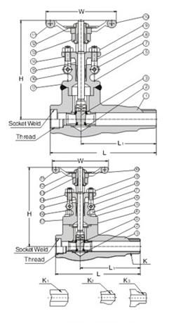 Class 800 LB Extended Body Gate Valve, A105, F304(L), F22