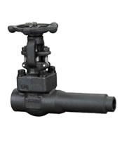 Class 800 LB Extended Body Gate Valve, A105, F304(L), F22