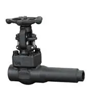 Class 800 LB Extended Body Gate Valve, A105, F304(L), F22