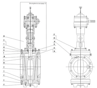 Structure of Short Pattern Orbit Plug Valve With Gear