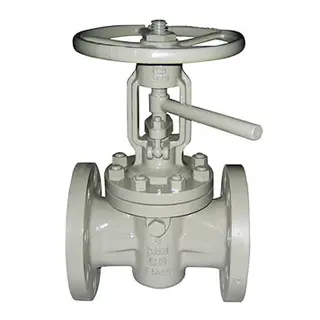 Metal Seated Lift Plug Valve, Class 150, 300, 600, 900 LB