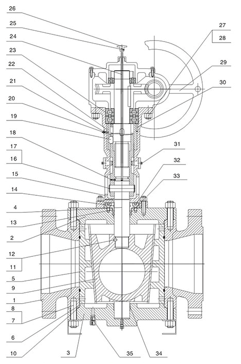  Structure of Reduced Bore Type Orbit Plug Valve with Gear
