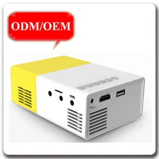 Portable Mini 320x240 Full HD LI-300 LCD Projector