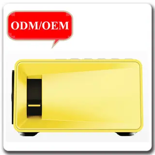 Portable Mini 320x240 Full HD LI-300 LCD Projector