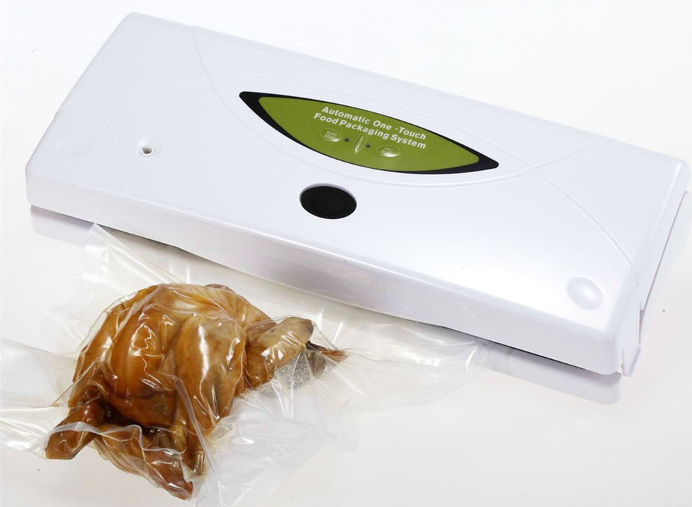 vacuum food sealer