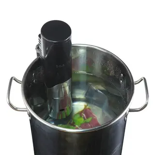 Simplified Advanced Sous Vide Circulator SVC151 Silver