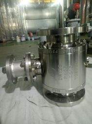 Baltic delivered stainless DIN ball valves to a European customer
