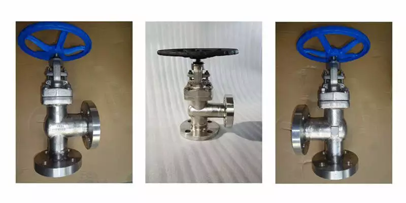 angle type globe valve