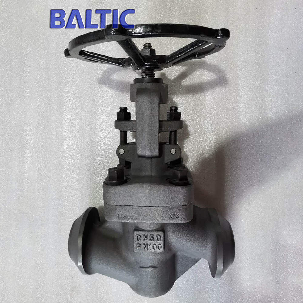 The Reduced Bore Globe Valve The Reduced Bore Globe Valve