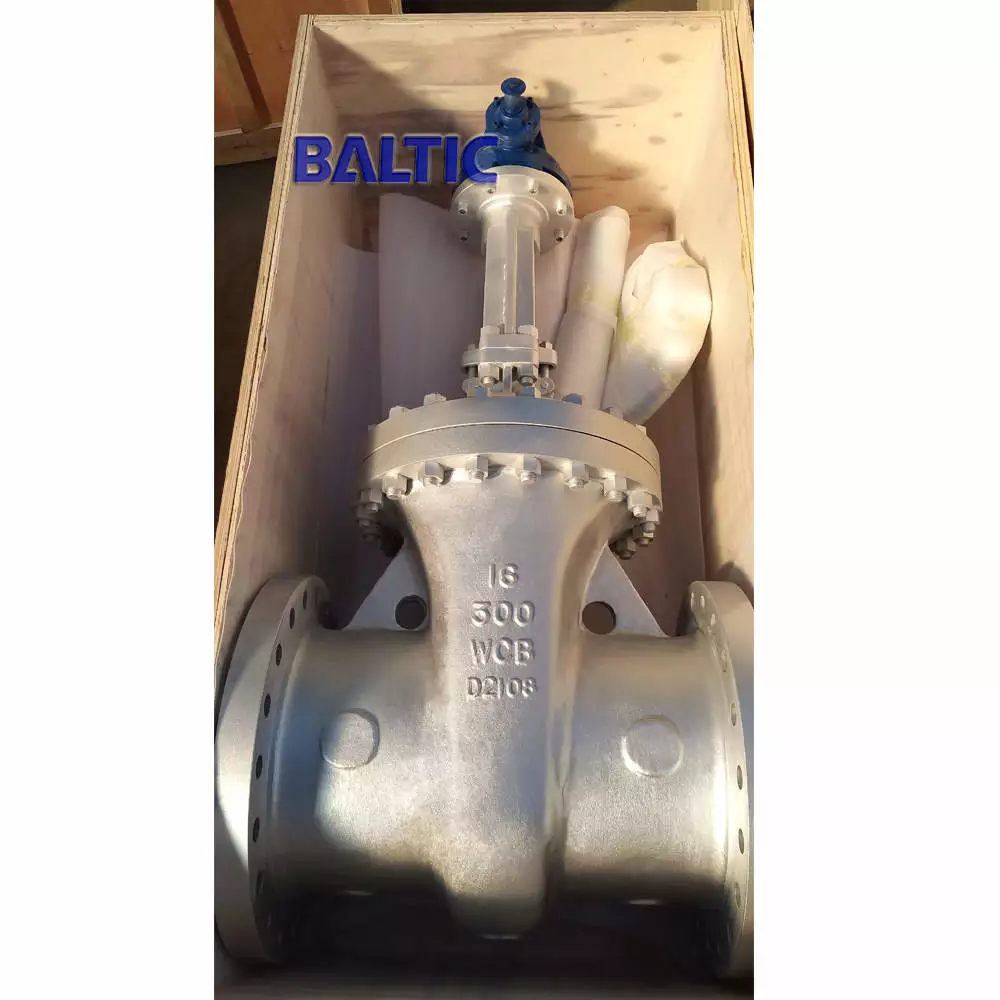 The 16 Inch Gate Valve