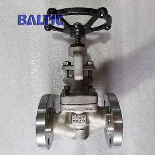 DIN Small Size Globe Valve in Forging Materials