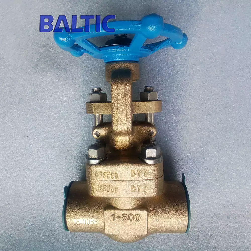 A Gate Valve