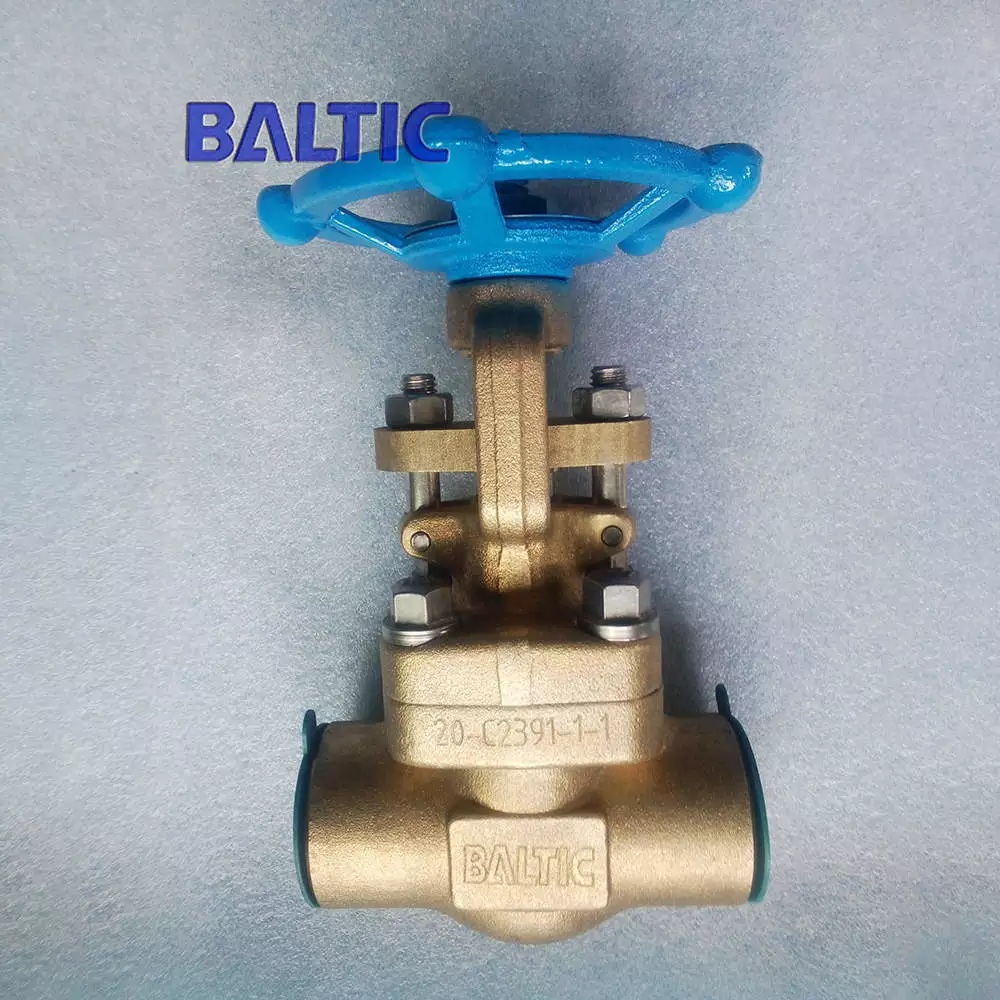 The Gate Valve