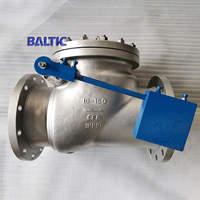 Cryogenic Swing Check Valves for a Low Temperature of -196℃