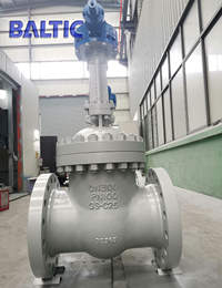 DIN Gate Valves Delivered to Europe (PN100 Series)