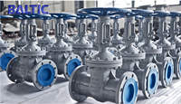 DIN Gate Valves Delivered to Europe (PN40 Series)