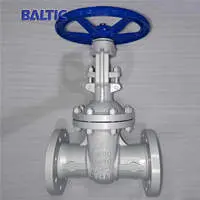 DIN Gate Valves Shipped to Europe (PN63 Series)