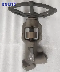 Extra High Pressure Y-type Globe Valves