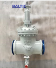 Special Design: Gate Valves with Drain Valves